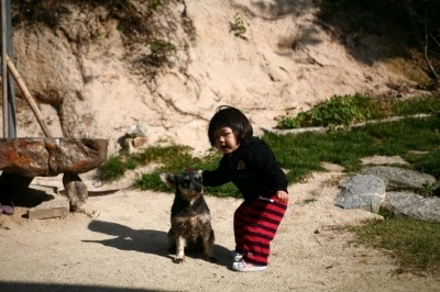 화제가 되었던 한국판 