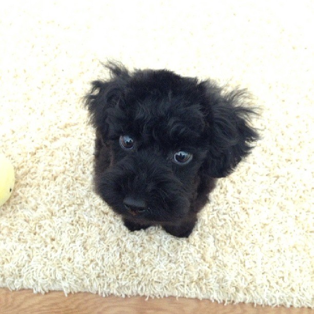 226DB84351BAAB922819AB